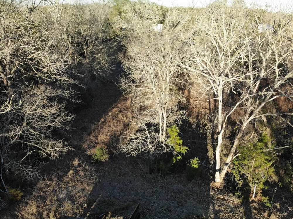 390 Hill Loop Road Somerville, TX 77879