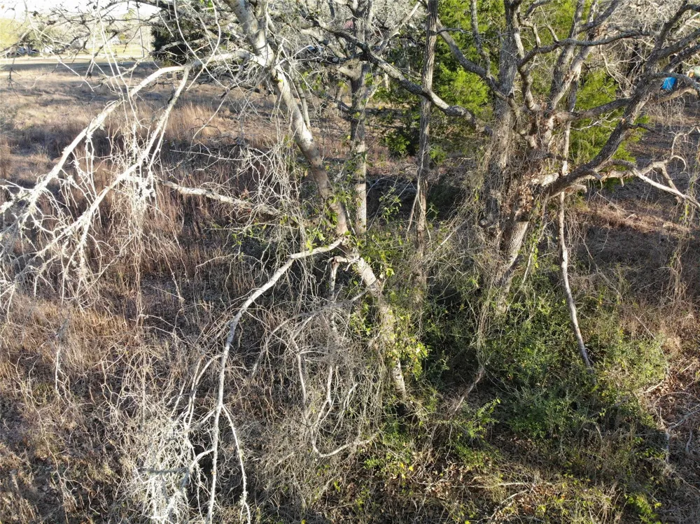 390 Hill Loop Road Somerville, TX 77879