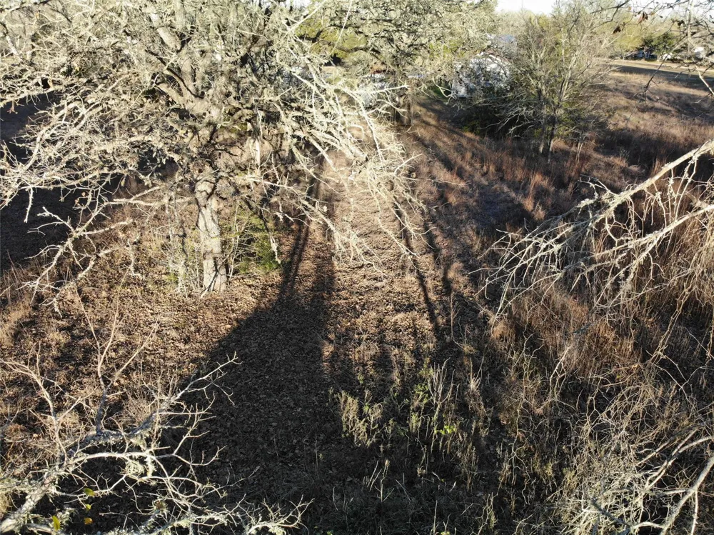 390 Hill Loop Road Somerville, TX 77879