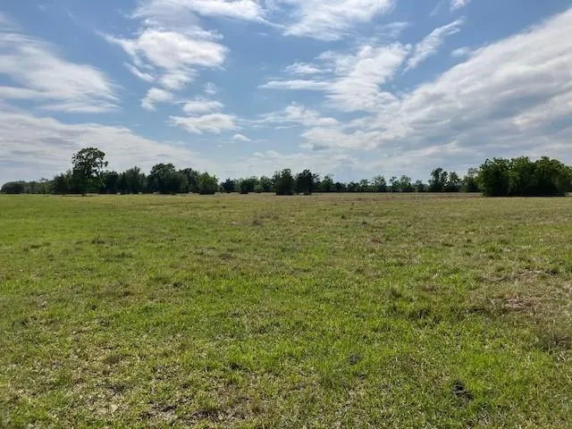 NE Belcher ,   Cr 397 Manvel, TX 77578