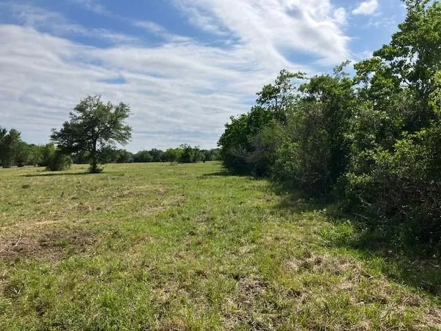 NE Belcher ,   Cr 397 Manvel, TX 77578