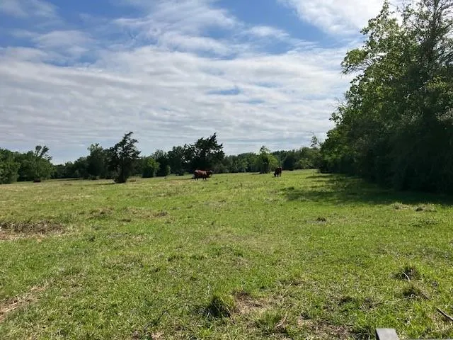 NE Belcher ,   Cr 397 Manvel, TX 77578