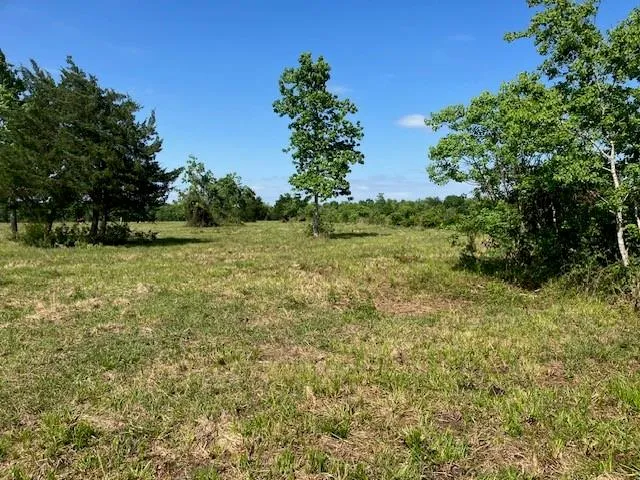 NE Belcher ,   Cr 397 Manvel, TX 77578
