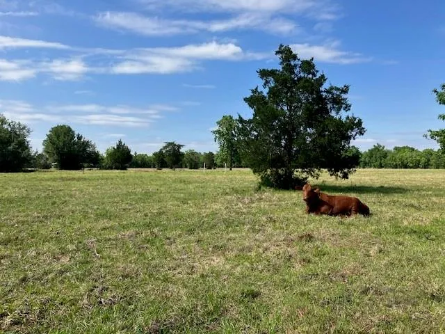 NE Belcher ,   Cr 397 Manvel, TX 77578