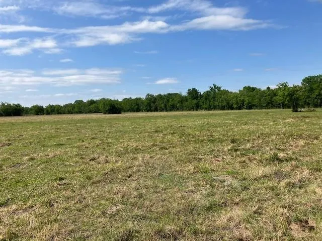 NE Belcher ,   Cr 397 Manvel, TX 77578