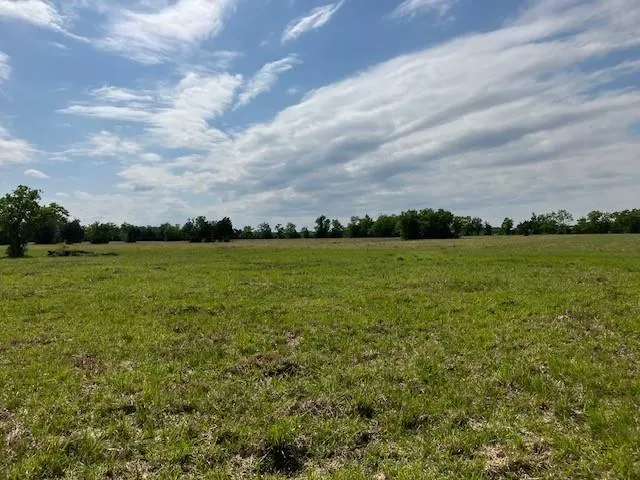 NE Belcher ,   Cr 397 Manvel, TX 77578