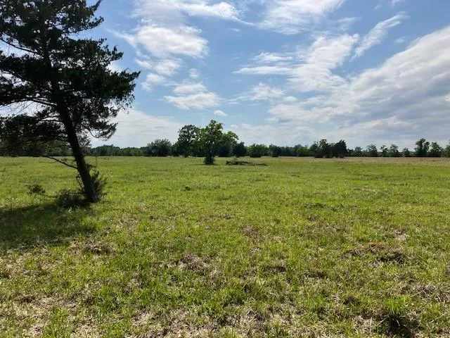 NE Belcher ,   Cr 397 Manvel, TX 77578