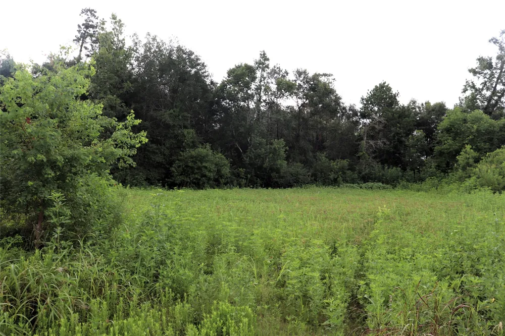 2 Hwy 90 Devers, TX 77575