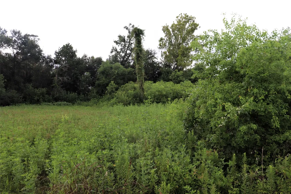 2 Hwy 90 Devers, TX 77575