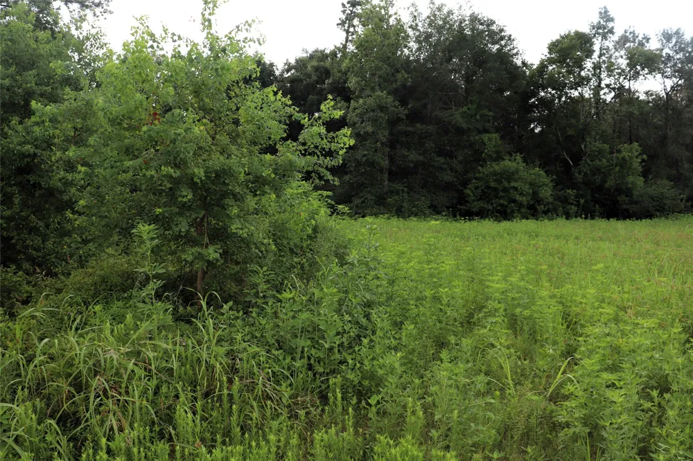 2 Hwy 90 Devers, TX 77575