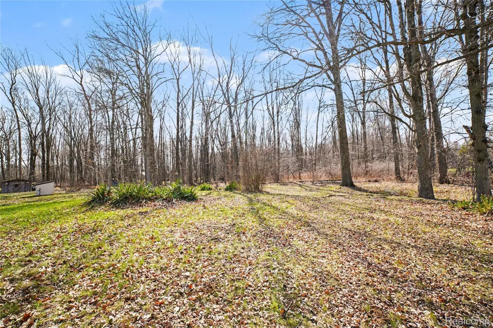 250 S Leaton Road Chippewa Township, MI 48858