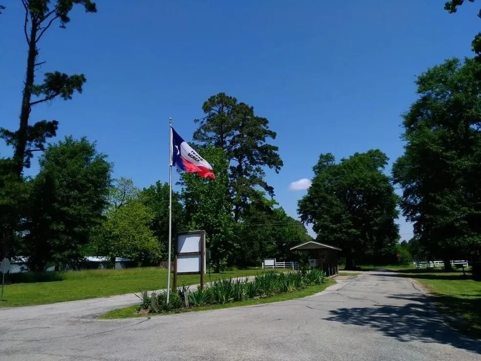 8 Charolais Onalaska, TX 77360