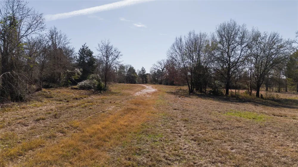 1 Wallace Rd Madisonville, TX 77864
