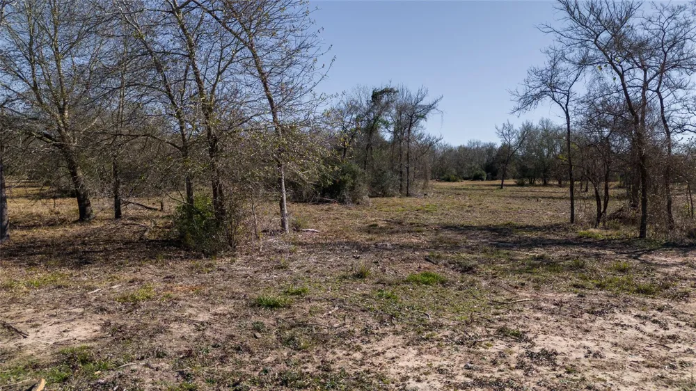 1 Wallace Rd Madisonville, TX 77864