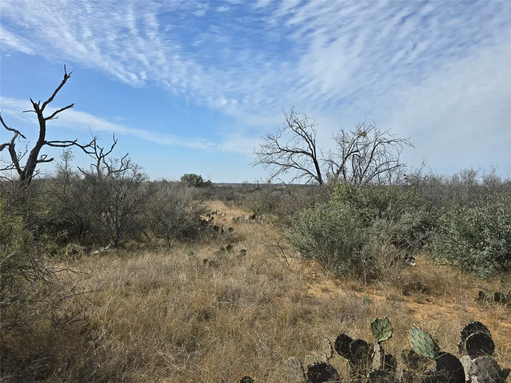 10315 FM 45 Richland Springs, TX 76872