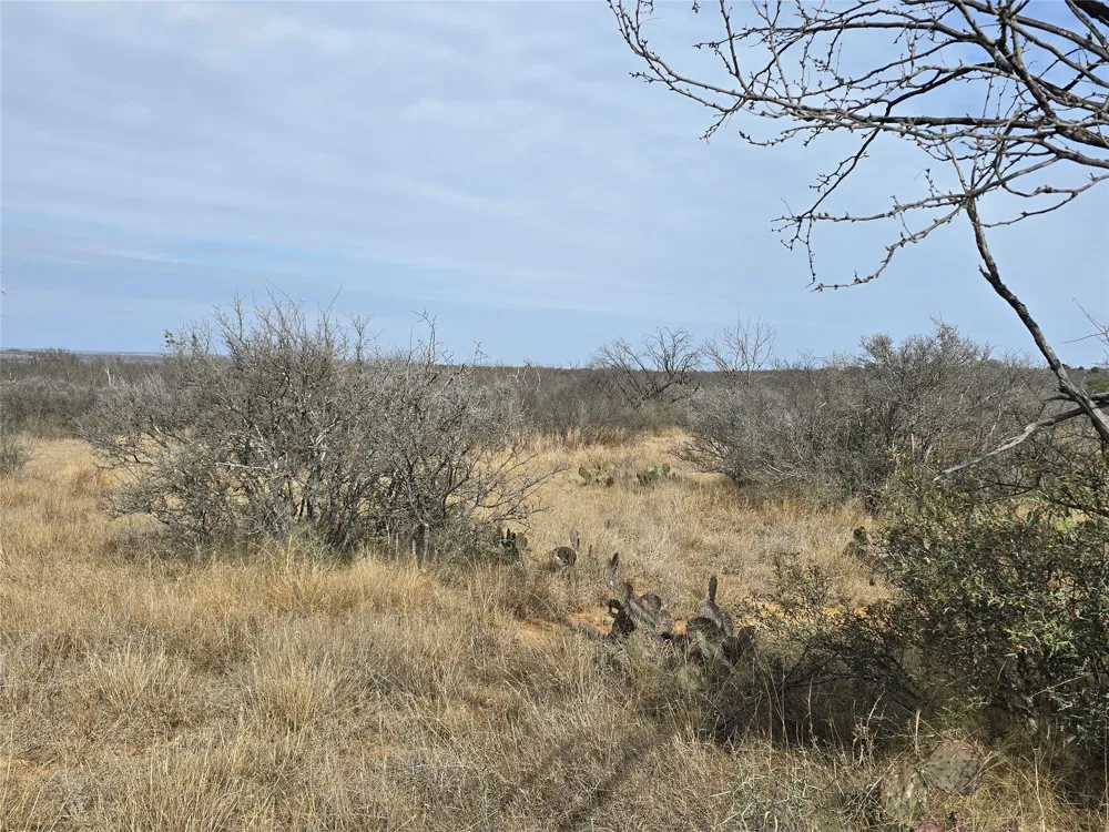 10315 FM 45 Richland Springs, TX 76872