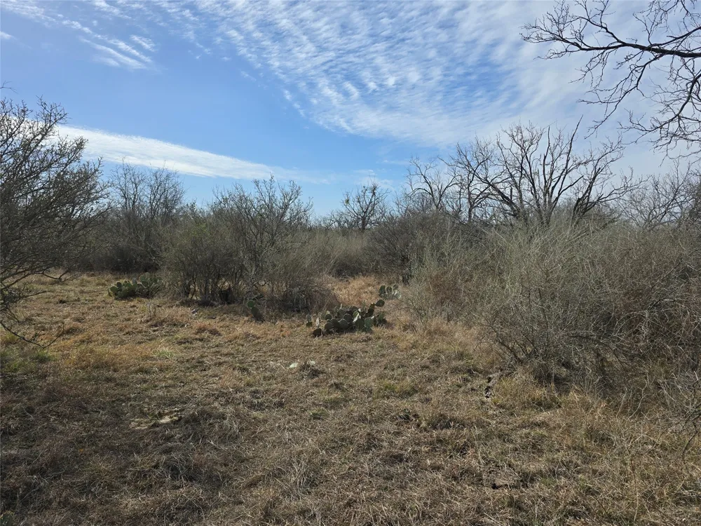 10315 FM 45 Richland Springs, TX 76872