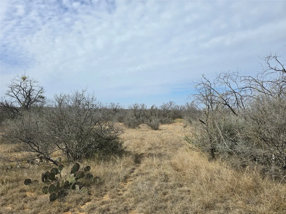 10315 FM 45 Richland Springs, TX 76872