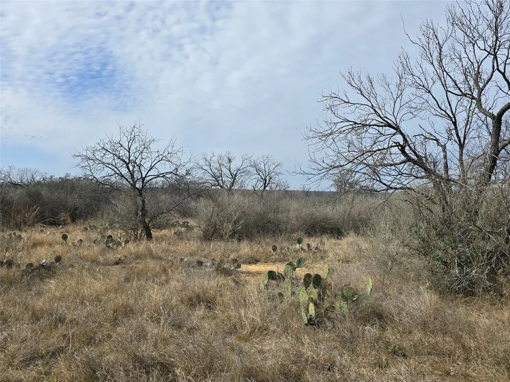 10315 FM 45 Richland Springs, TX 76872
