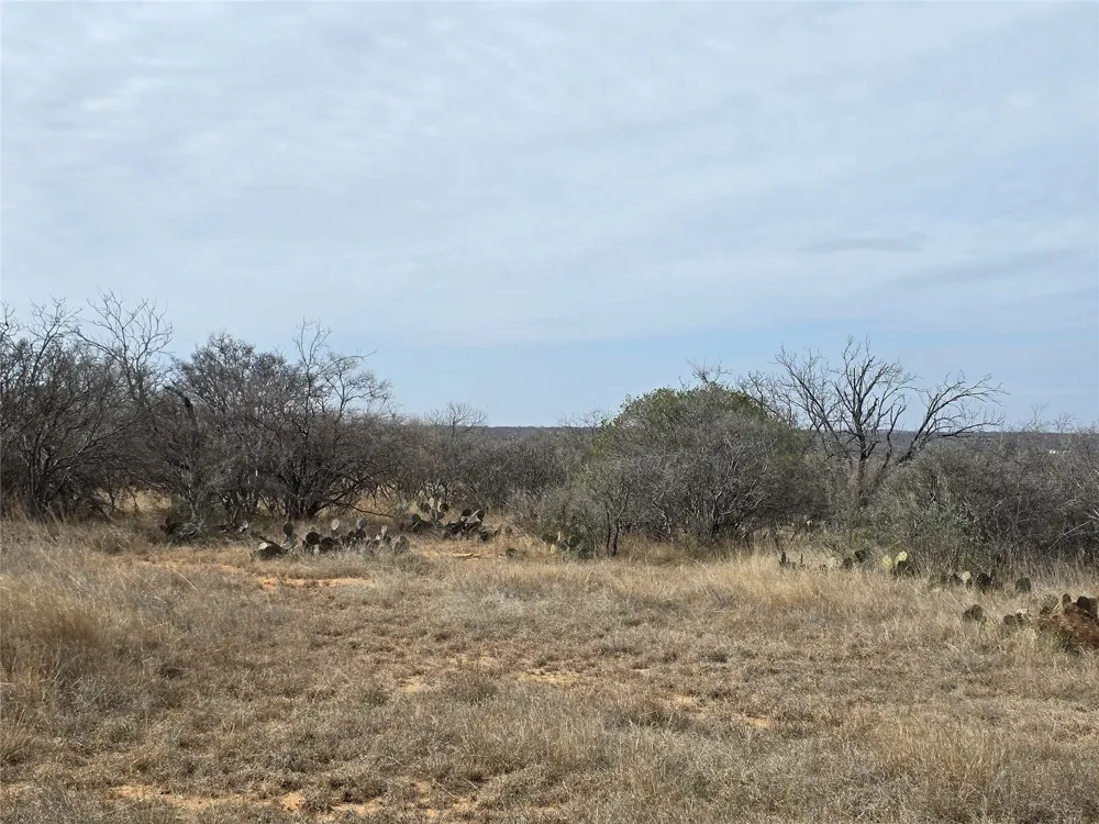 10315 FM 45 Richland Springs, TX 76872