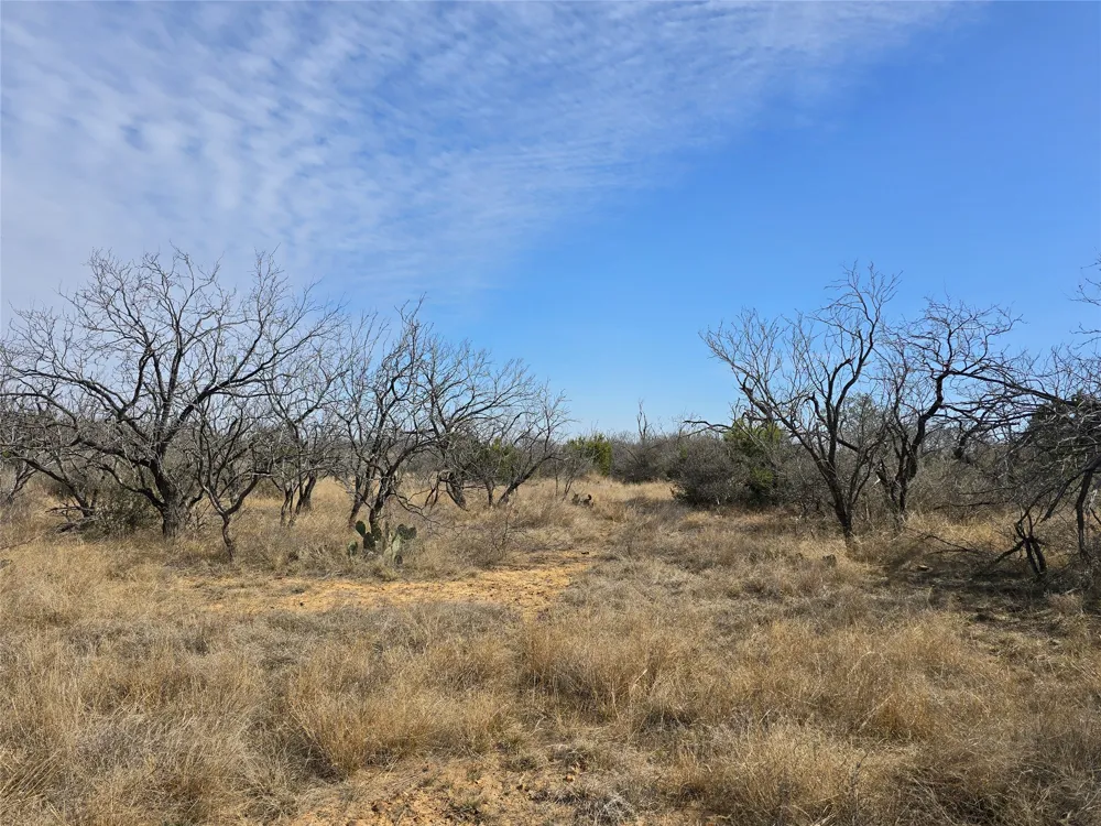 10315 FM 45 Richland Springs, TX 76872