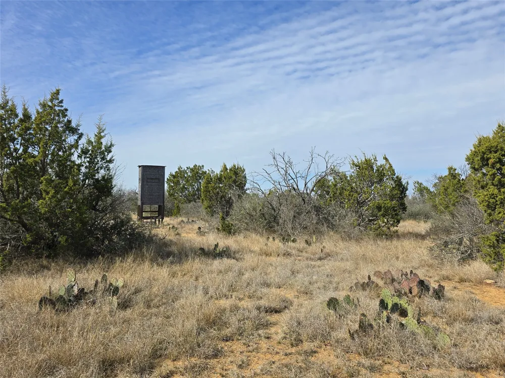 10315 FM 45 Richland Springs, TX 76872