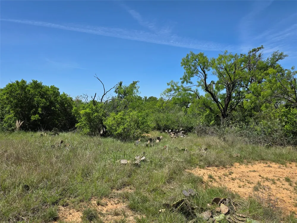 10315 FM 45 Richland Springs, TX 76872