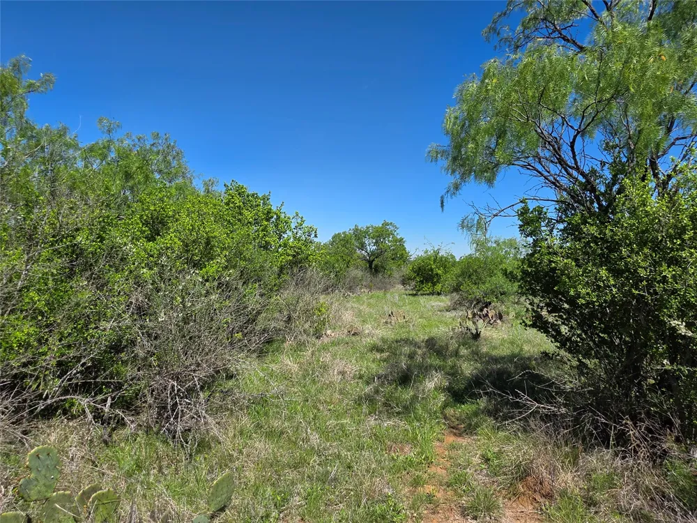 10315 FM 45 Richland Springs, TX 76872