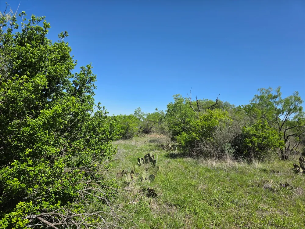 10315 FM 45 Richland Springs, TX 76872