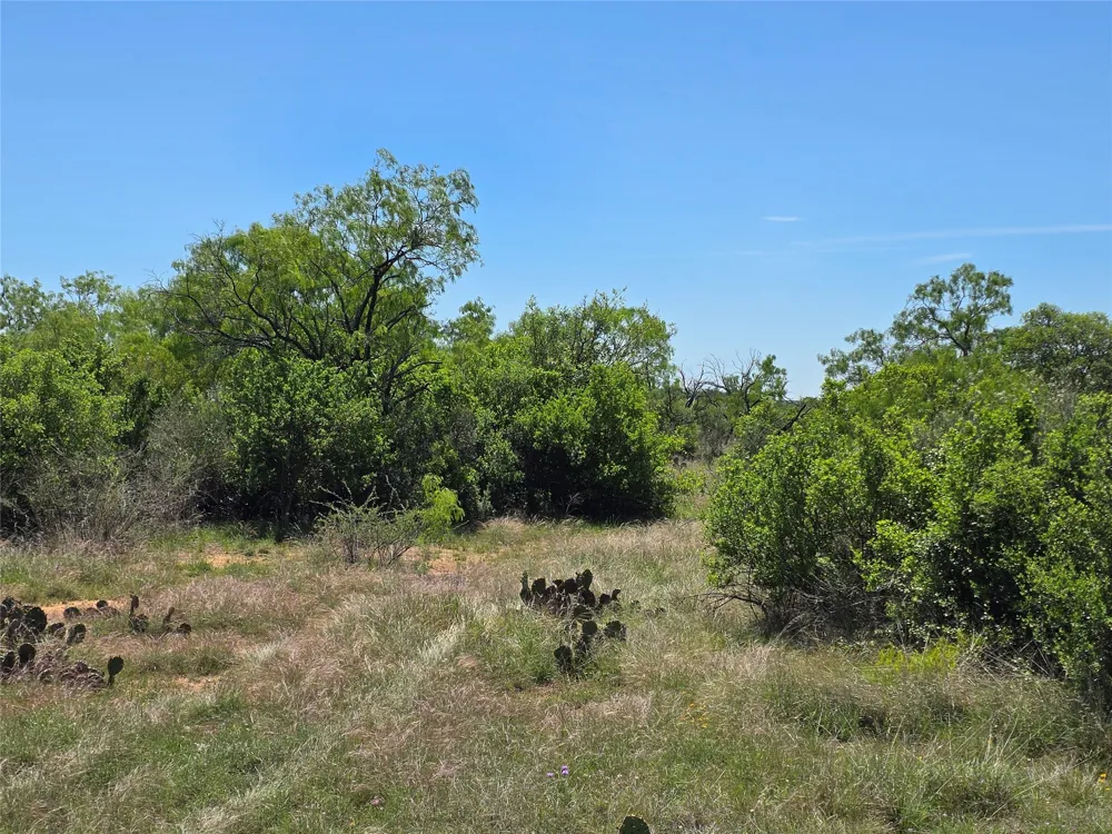 10315 FM 45 Richland Springs, TX 76872