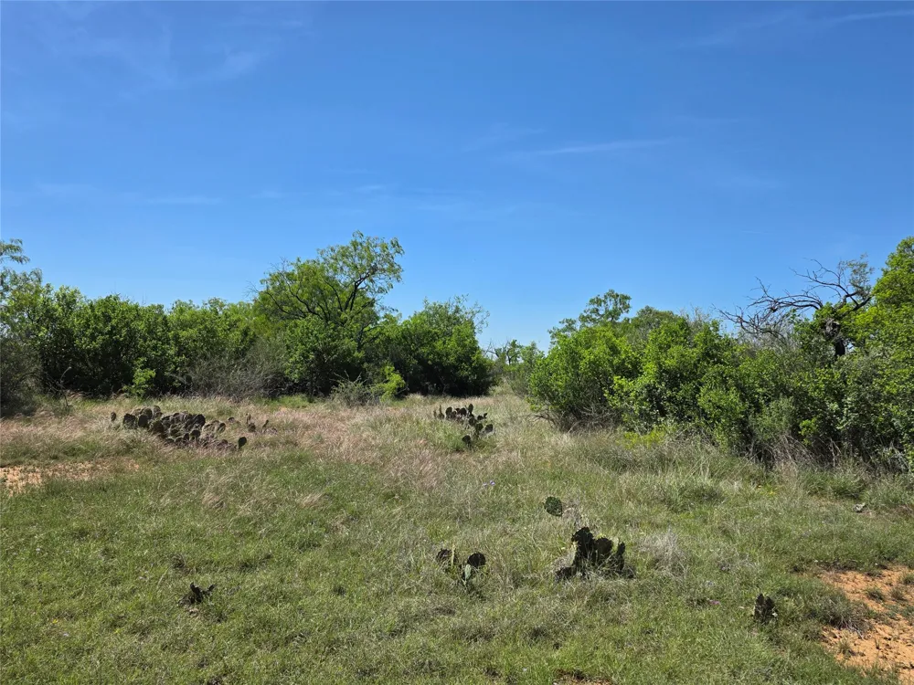 10315 FM 45 Richland Springs, TX 76872