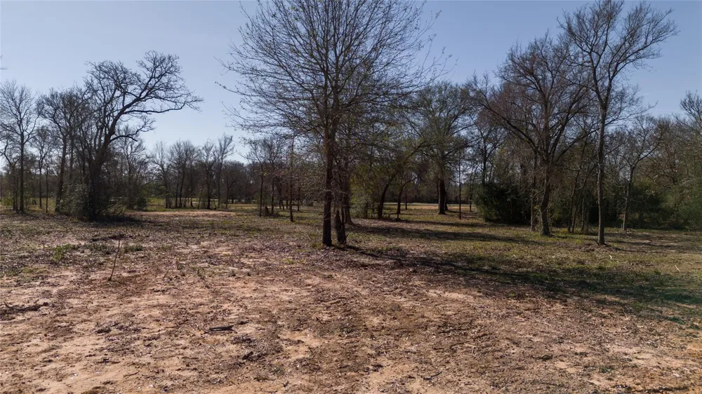 5 Wallace Rd Madisonville, TX 77864