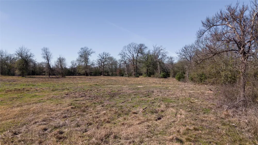 6 Wallace Rd Madisonville, TX 77864