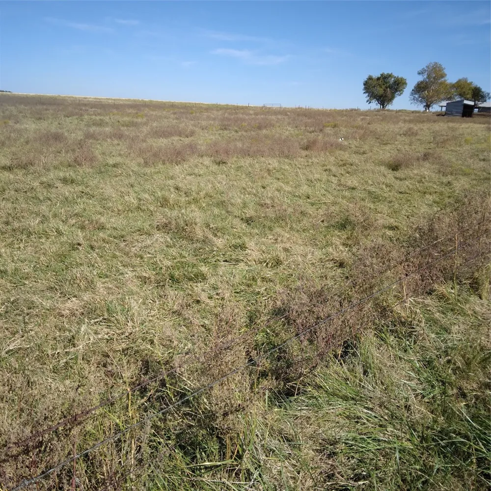FM 373 Muenster, TX 76252