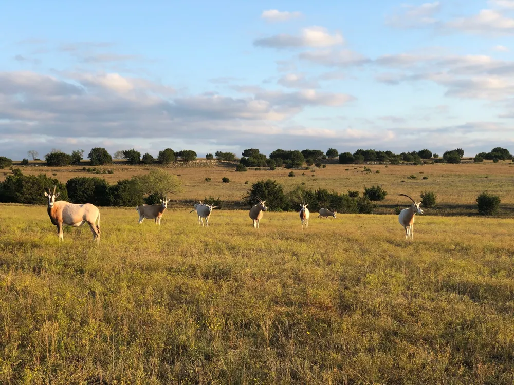 6101 County Road 208 Lampasas, TX 76550
