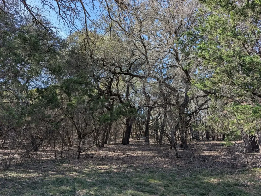 6101 County Road 208 Lampasas, TX 76550