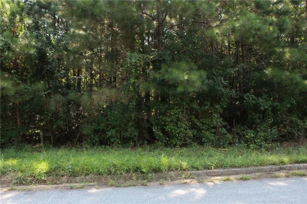 7718 Cheviot Drive Winston, GA 30187