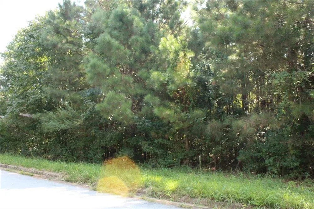 7718 Cheviot Drive Winston, GA 30187
