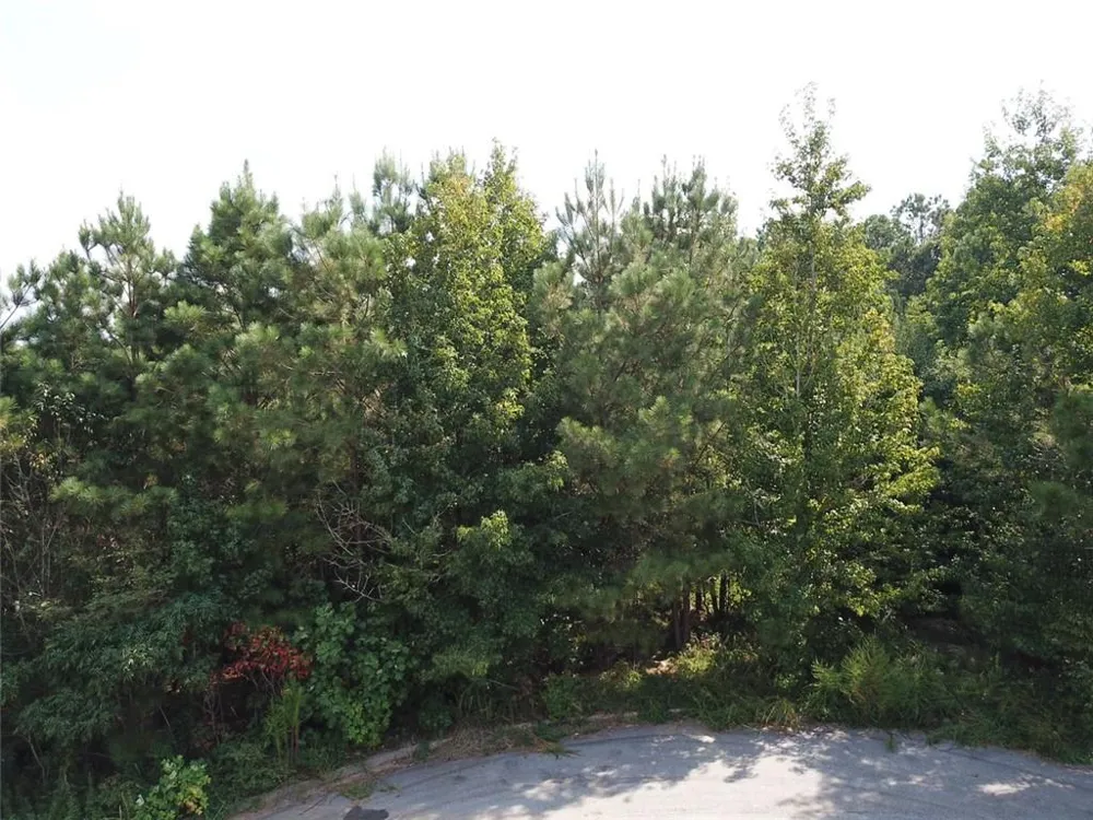 7722 Austin Court Winston, GA 30187