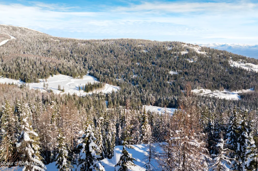 375 Blizzard Drive Sandpoint, ID 83864