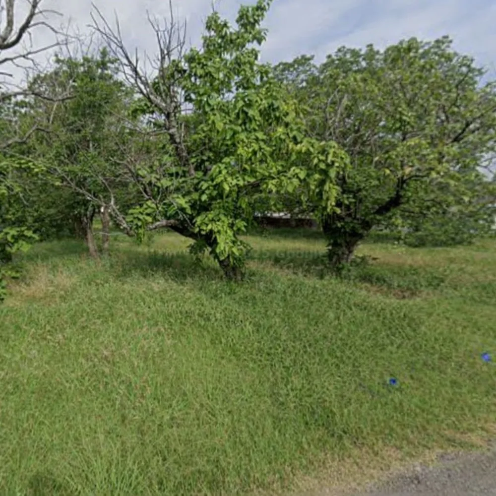 3rd Street Celeste, TX 75423