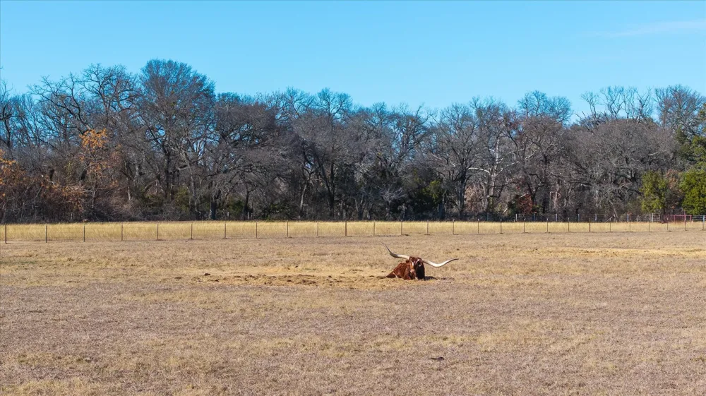 W Hidden Meadow Court Cresson, TX 76035