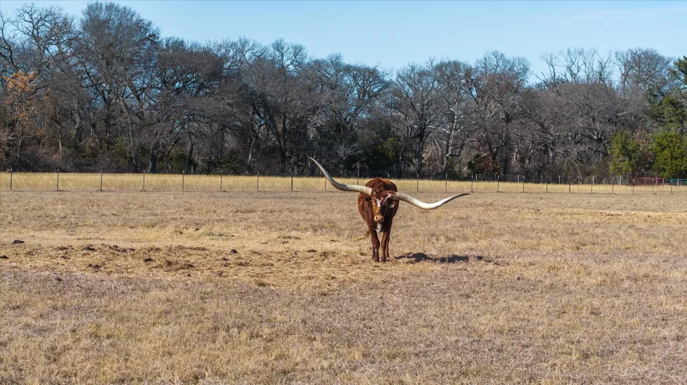 W Hidden Meadow Court Cresson, TX 76035