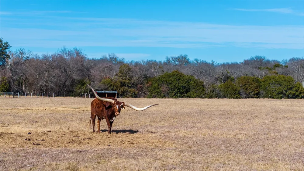 W Hidden Meadow Court Cresson, TX 76035