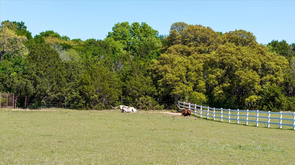 W Hidden Meadow Court Cresson, TX 76035