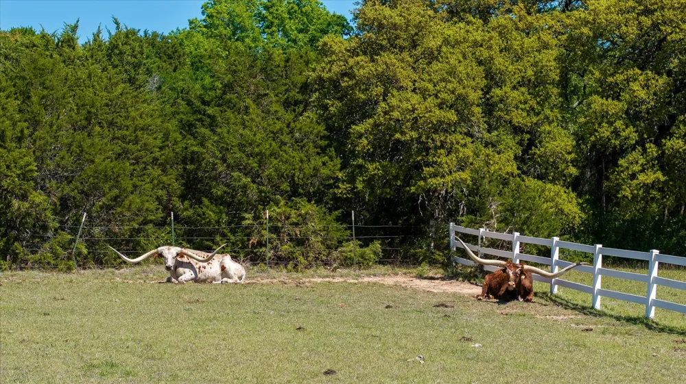 W Hidden Meadow Court Cresson, TX 76035