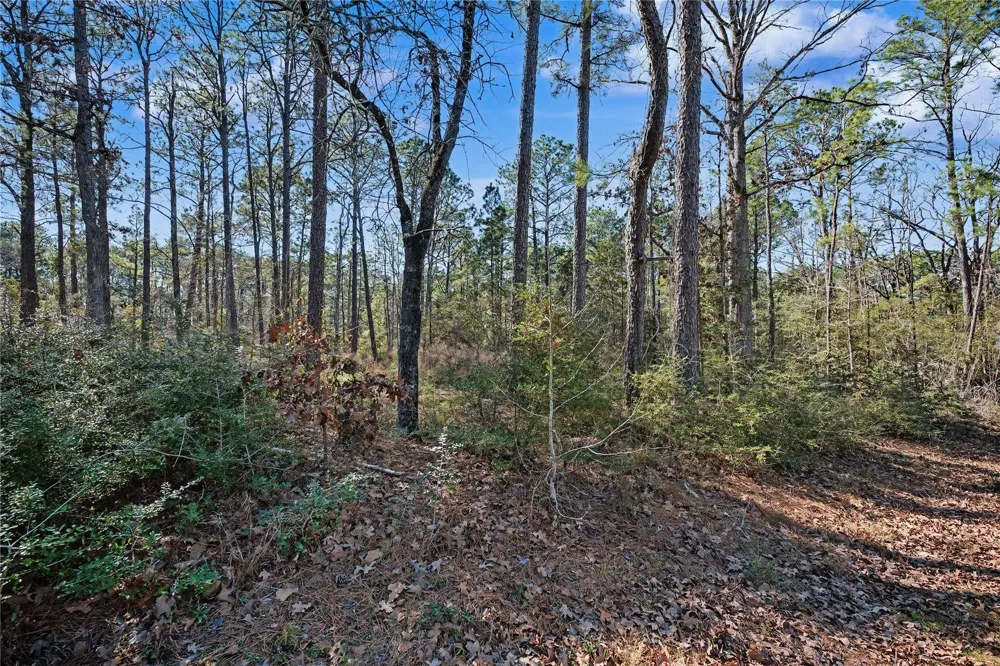 32465 Duffer Drive Brookeland, TX 75931