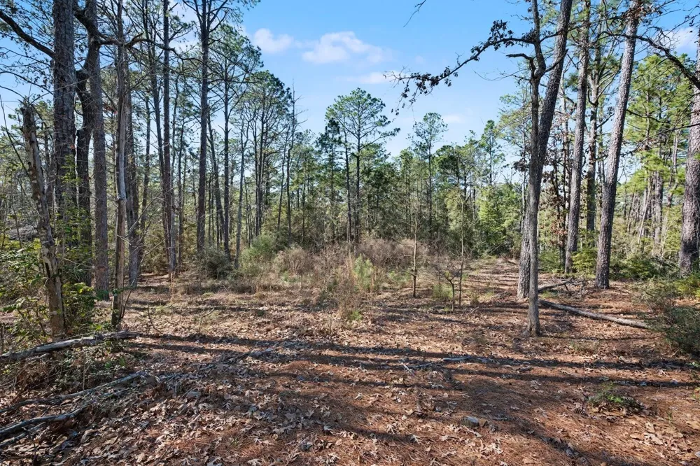 32465 Duffer Drive Brookeland, TX 75931