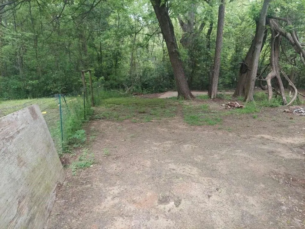 404 Frazier Street Daingerfield, TX 75638