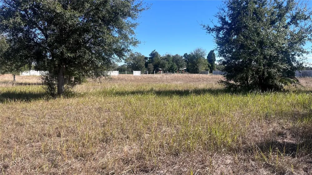 13415 COCOPAH LANE Dover, FL 33527